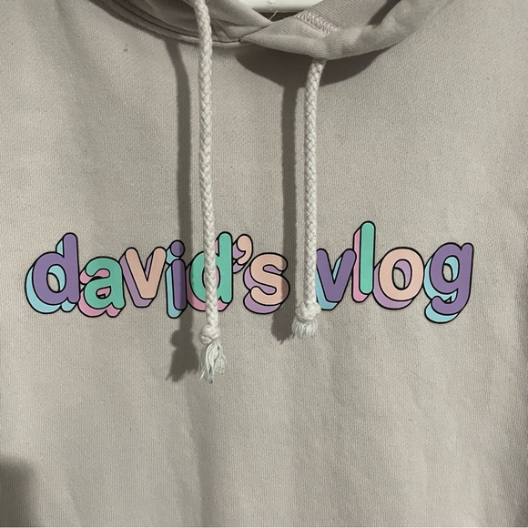 David Dobrik David’s Vlog Mens Pullover Hoodie Size Small Faded Pink - Picture 2 of 5